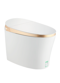 坐便器